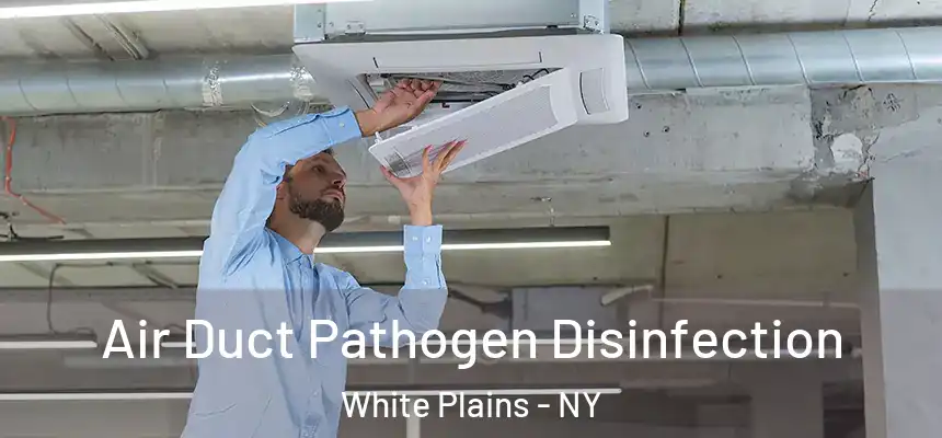 Air Duct Pathogen Disinfection White Plains - NY