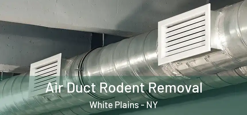 Air Duct Rodent Removal White Plains - NY