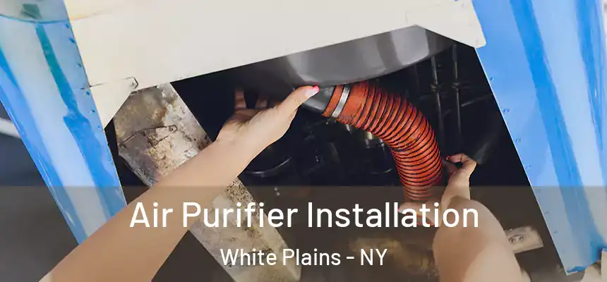 Air Purifier Installation White Plains - NY