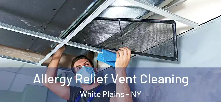 Allergy Relief Vent Cleaning White Plains - NY
