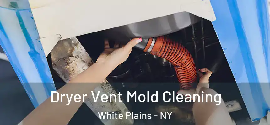 Dryer Vent Mold Cleaning White Plains - NY