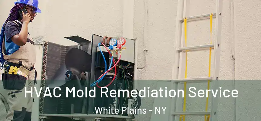 HVAC Mold Remediation Service White Plains - NY