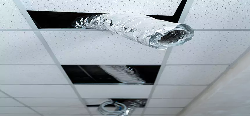 Our Air Duct Pet Hair Removal Services in White Plains, NY