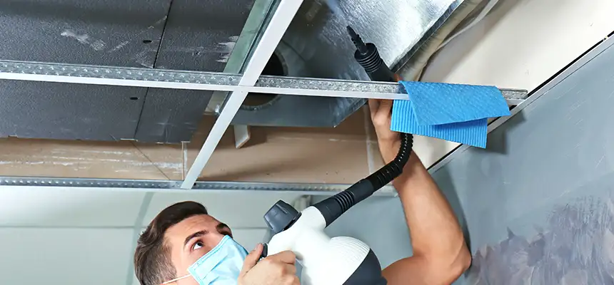 Our Air Duct Rodent Removal Services in White Plains, NY
