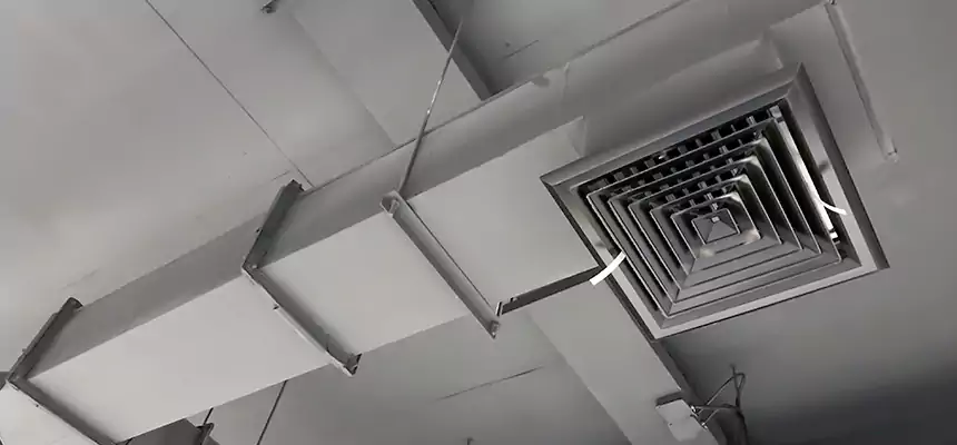 Our Rodent Droppings In Vents Services in White Plains, NY