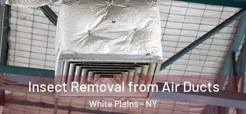 Insect Removal from Air Ducts White Plains - NY