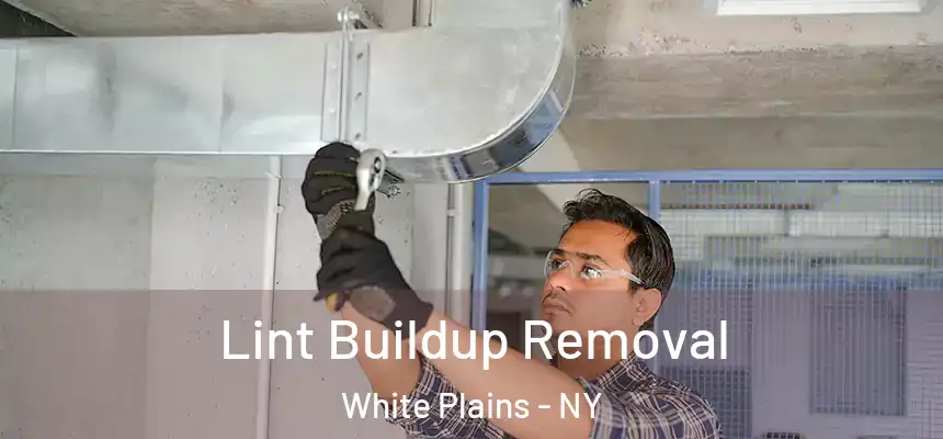 Lint Buildup Removal White Plains - NY