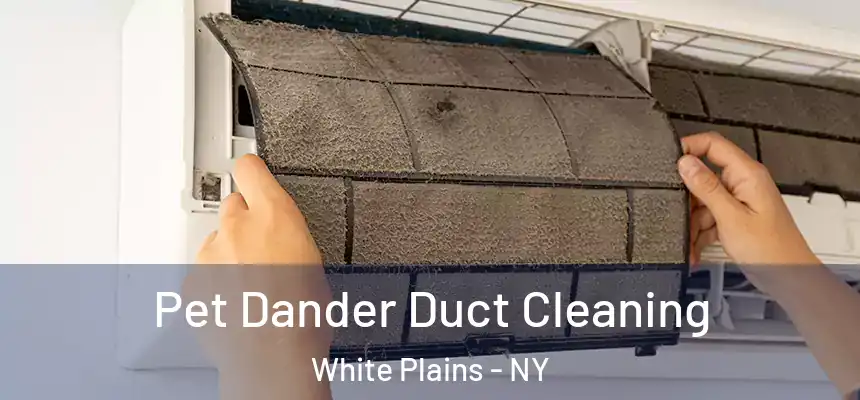 Pet Dander Duct Cleaning White Plains - NY
