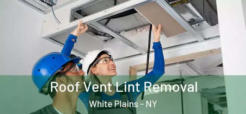  Roof Vent Lint Removal White Plains - NY
