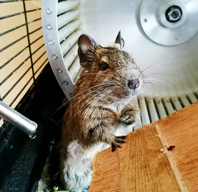 Why Homeowners & Businesses Trust Us White Plains, NY