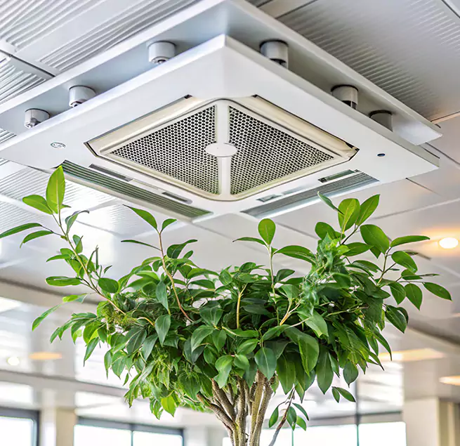 Why Homeowners & Businesses Trust Us in White Plains, NY?