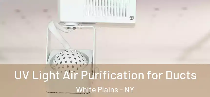  UV Light Air Purification for Ducts White Plains - NY